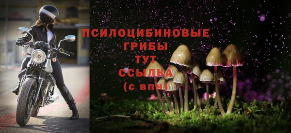 кокс Армянск