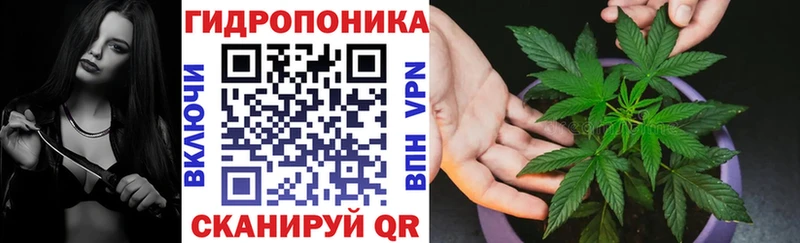 Бошки Шишки гибрид  где купить   Новодвинск 